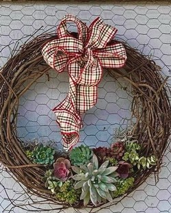 Succulent Christmas wreath or center piece